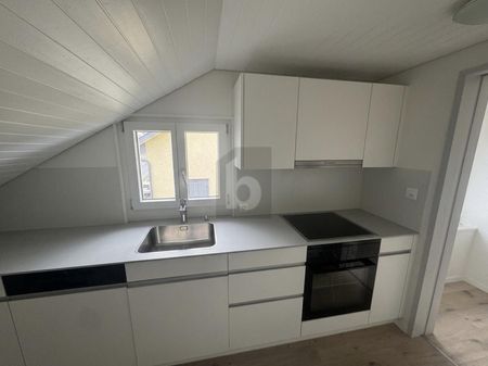 CENTRAL WITH ROOF TERRACE AND GARDEN - Photo 5