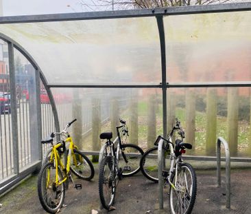 Single Wheelchair Accessible Ensuite - Photo 6