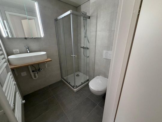 New 2.5-room apartment with balcony for rent in Echandens - Photo 1