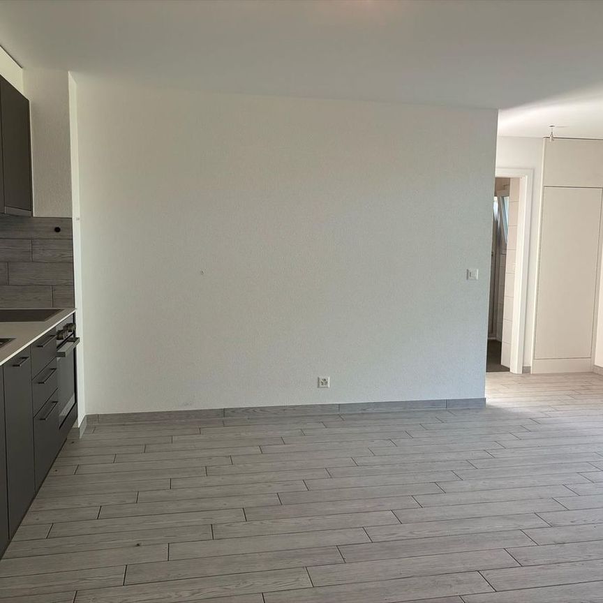 Appartement 2.5 pièces - Photo 1