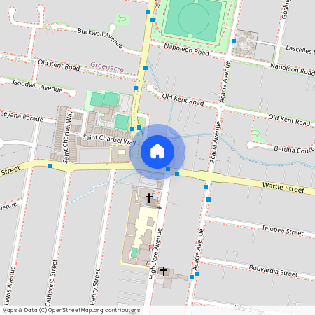 73A Wattle Street, Punchbowl NSW 2196