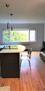 AVAILABLE April 1st-Pet Allowed Furnished Studio@ 1540 Haro-RENOVATED - Photo 3