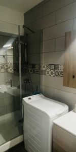 Location appartement 1 pièce - Photo 4