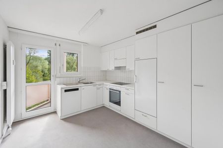 Schöne, ruhige Wohnung direkt an der Birs - Photo 3
