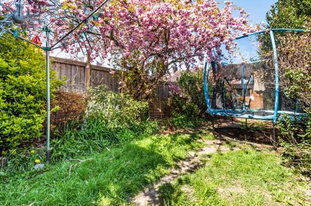 3 bedroom terraced house to rent - Photo 5