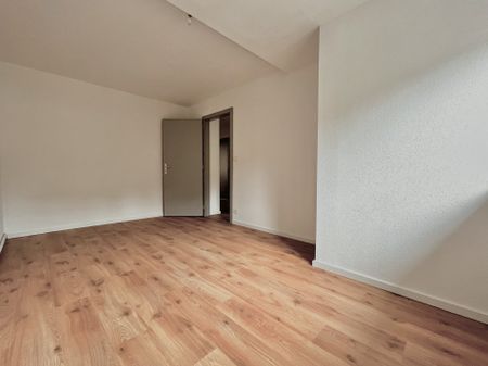 Location Appartement ALTKIRCH 630 € CC - Photo 3