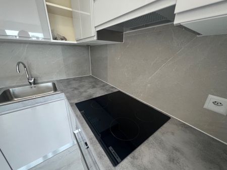 2.5 locali APPENA RISTRUTTURATO a Coldrerio - Photo 3