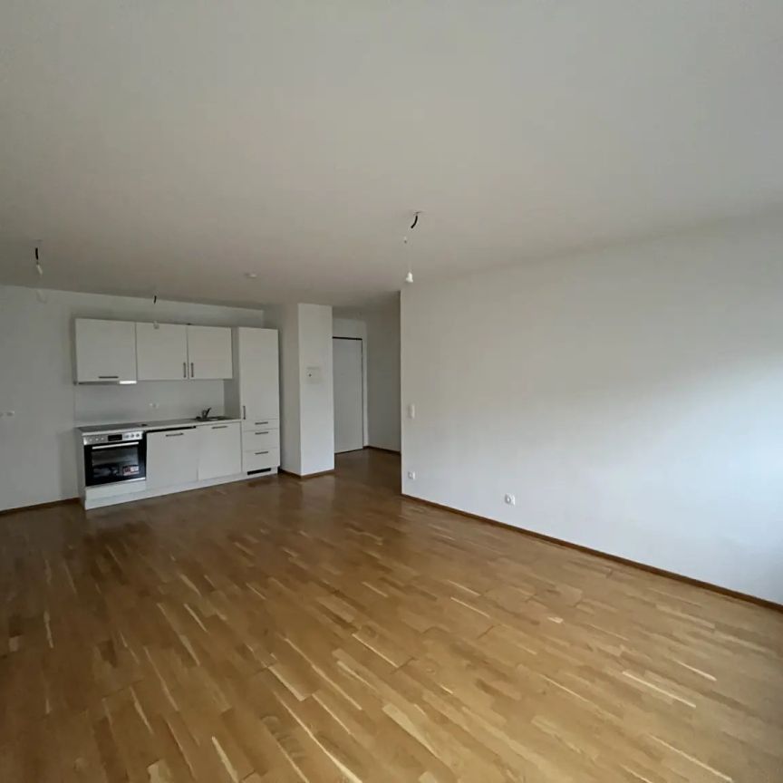 Moderne 2-Zimmer-Wohnung mit Terrasse - Foto 1
