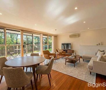 Spacious Family Living in a Quiet Court Location - Photo 1