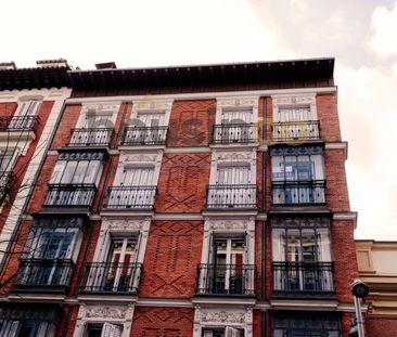 Studio for rent in Madrid (Centro) - Photo 4