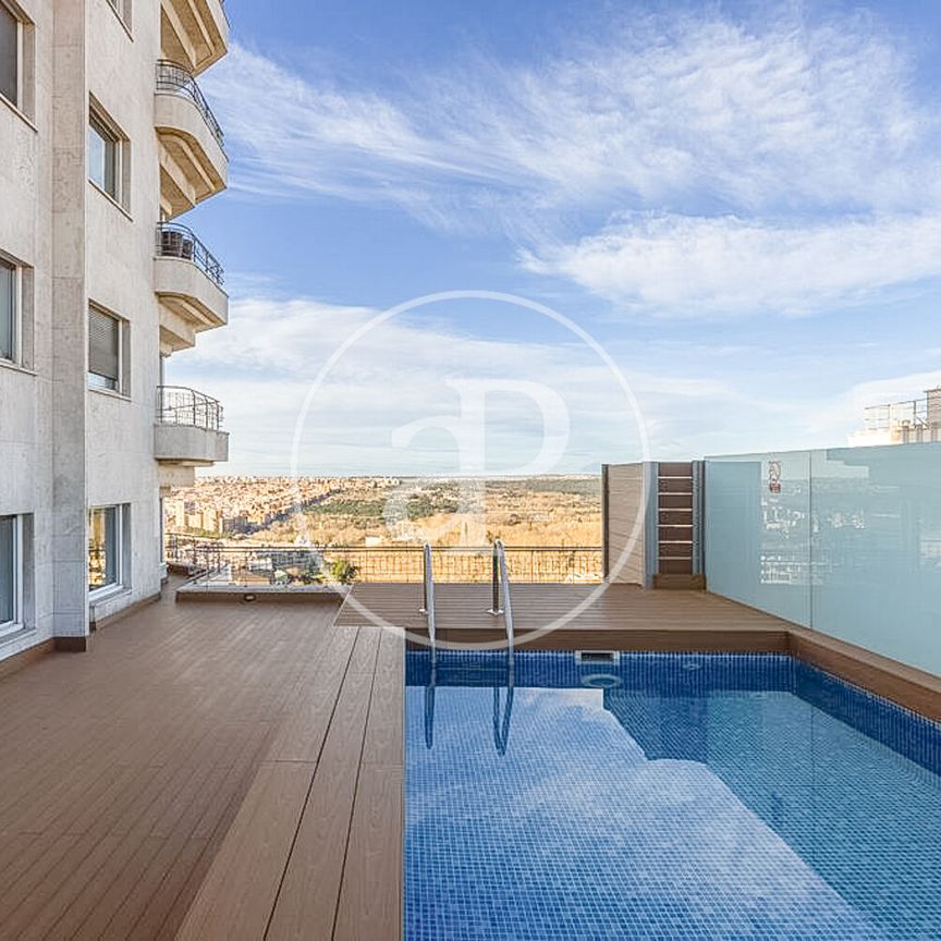 Flat for rent in Castellana (Madrid) - Photo 1