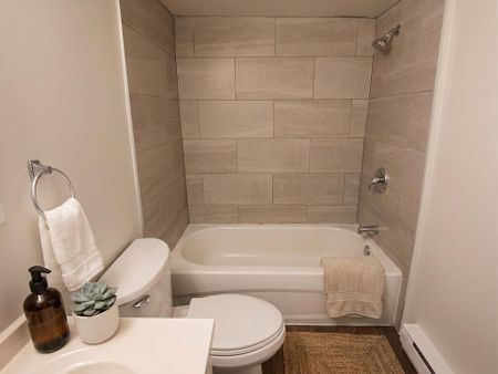 Junior One Bedroom - Photo 4