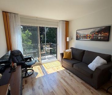 Condo meublé à louer / furnished condo for rent - Photo 2