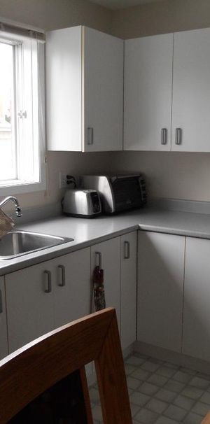 Beauport, 4 1/2 libre, frais peint, insonorisé - Photo 1