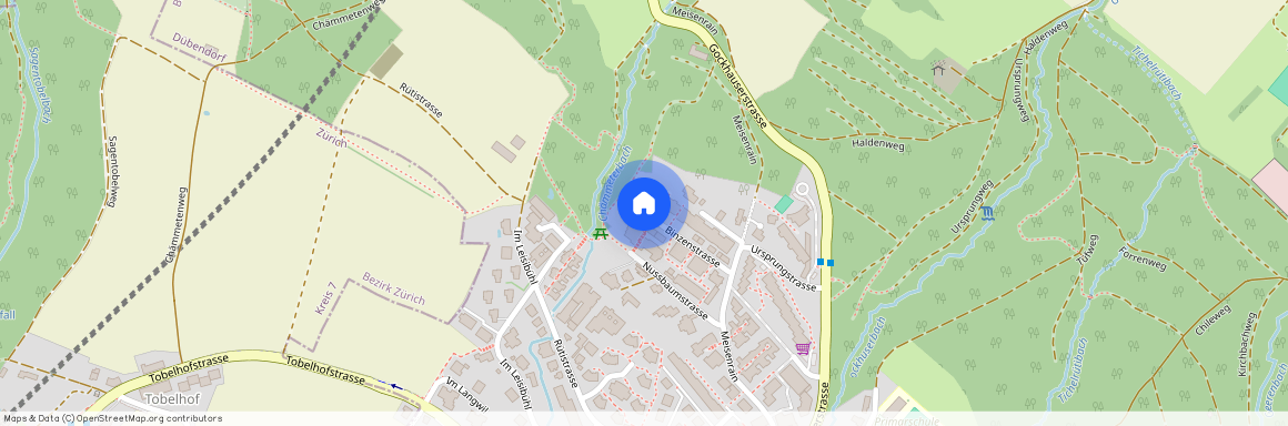 Binzenstrasse 21, 8044 Gockhausen, Schweiz