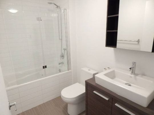 2118 Rue St Dominique Montréal (Ville-Marie), QC H2X - Photo 1