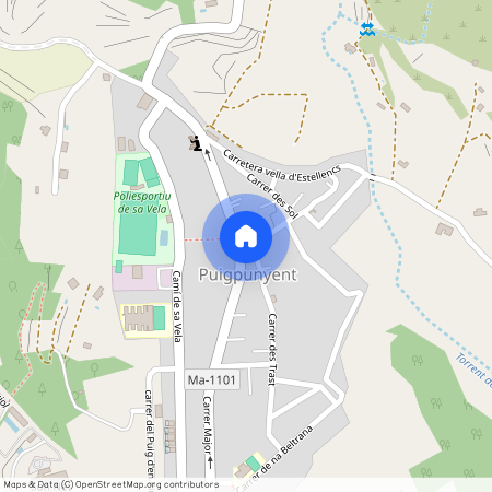 Puigpunyent, Balearic Islands 07194