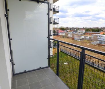 Warszawa, Białołęka, Warszawa, Białołęka, Winorośli - Zdjęcie 6