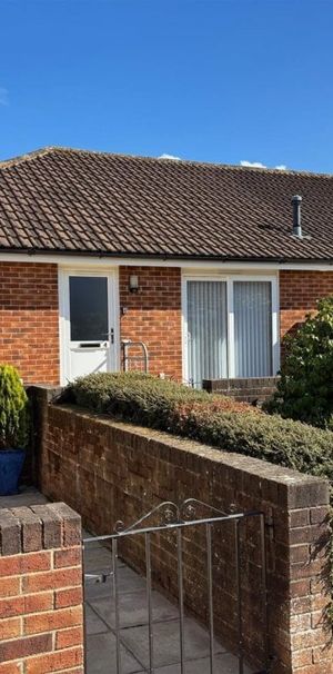 Honiton - Photo 1