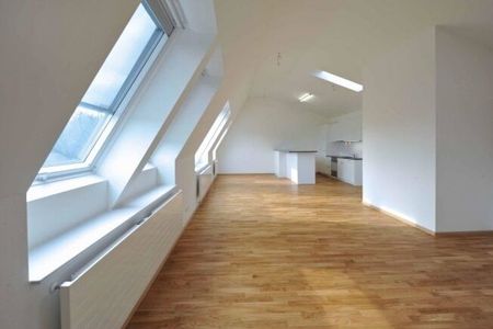 Do you want to aim high - Photo 2