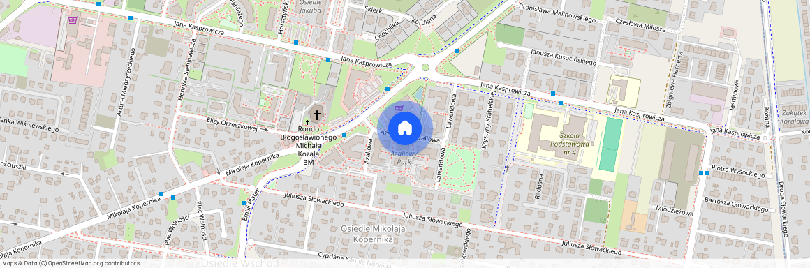 ul. Azaliowa, Pruszcz Gdański, gdański, pomorskie