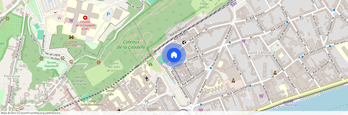 Rue Vivegnis 6 / 2B, 4000 Liège