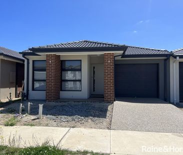 149 Carnival Boulevard, Berwick, VIC 3806 - Photo 5