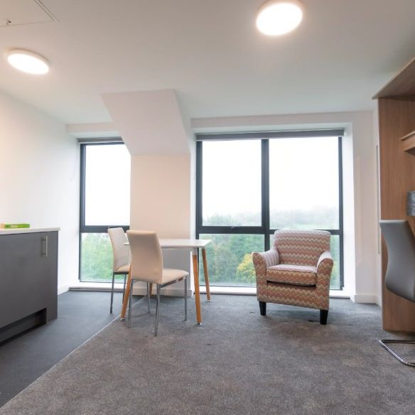 Studio Flat, Shaw Street, L6 - Photo 1