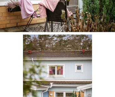 Trädgårdsgärdet, Angered - Photo 5