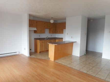 BEAU 5 1/2 (libre immédiatement) SITUÉ AU 2060 RUE GAUTHIER APP202, SHERBROOKE, J1H 6A5 - Photo 5