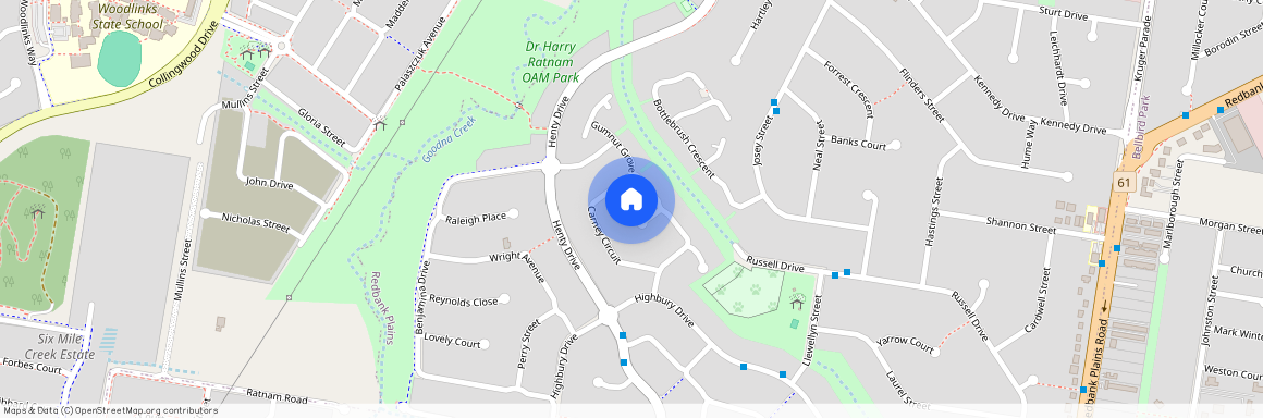 3 Salter Place, Qld 4301, Redbank Plains