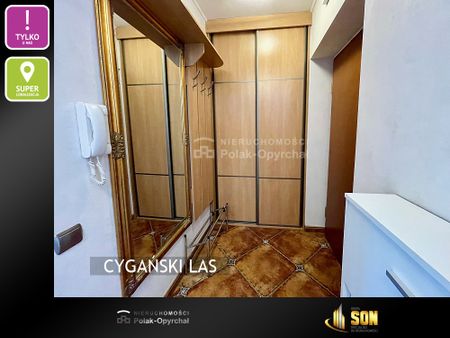 Oferta nr 6A 373w - Photo 5