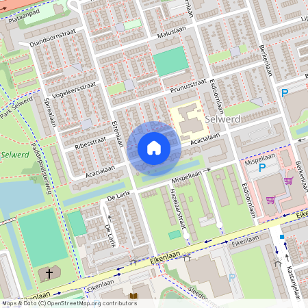 Selwerd, 9741 KW, Acacialaan, Groningen