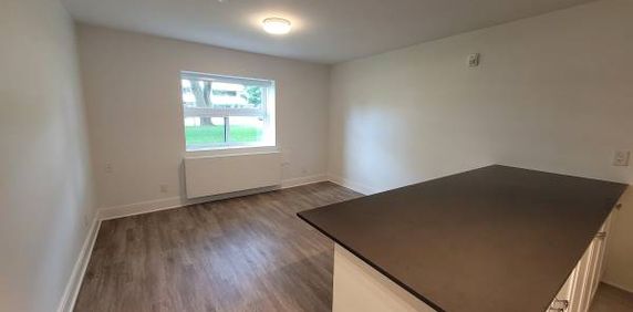 Renovated, Pet-Friendly Units (Parkwoods Village) - Photo 2