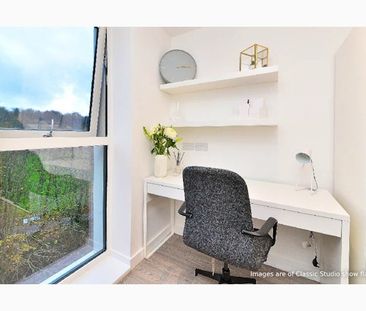 Classic Plus Studio - Photo 2