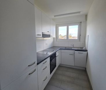 3 Zimmer, 67 m², 1. Stock - Foto 3