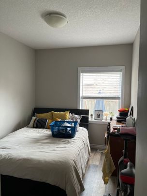 86 Wyndham St S, Guelph - Photo 1