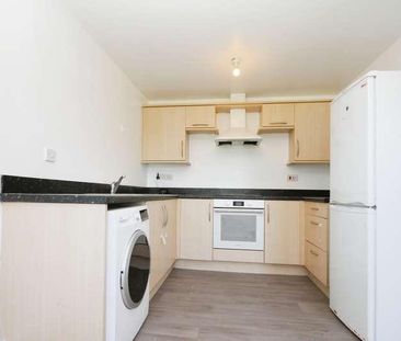 Queen Mary Rise, Manor, Sheffield, S2 - Photo 4