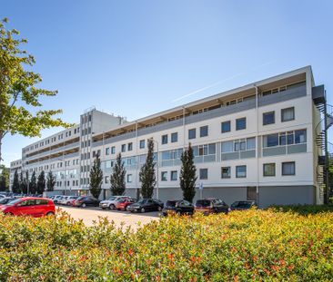 Klaverhof 4 Alphen Aan Den Rijn - Photo 1