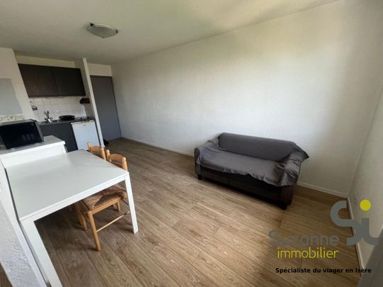 Location Appartement 1 pièce 31m² GRENOBLE 38000 - Photo 1