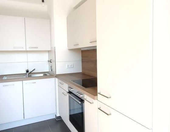 Wohnen im Schwanenquartier / moderne und renovierte 1 Zimmerwohnung - Foto 1