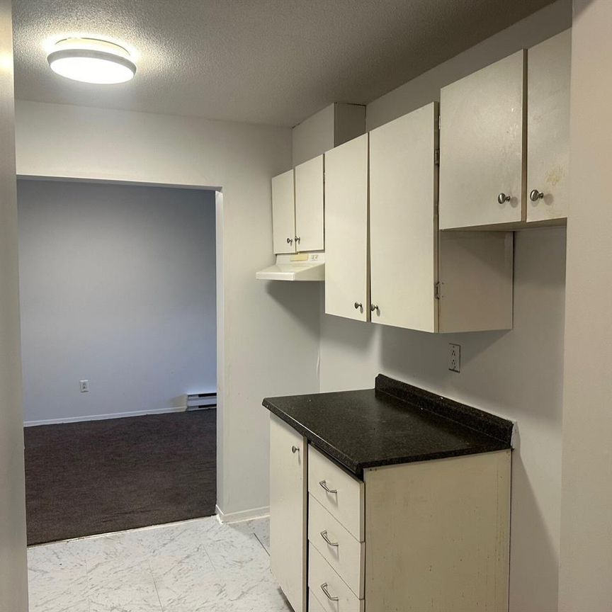 31 Rue Du Curé-André-Préseault (Gatineau) Très Beau Logement De 2 Cc - Photo 1