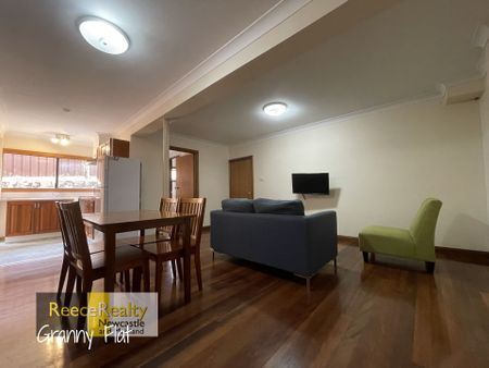 19A Viminaria Place, Warabrook - Photo 3