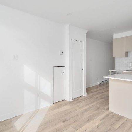 1 CH - 1 SDB - Montréal - $1,545 /mo - Photo 3