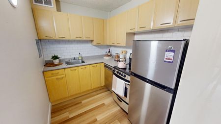 218 Maclaren Street, Centretown, Ottawa, ON - Photo 5