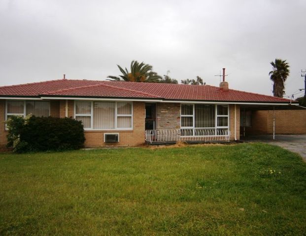 29 Constance Street, Yokine WA 6060 - Photo 1