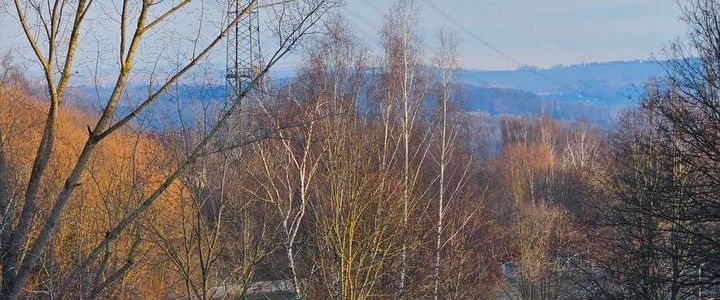 tolle 3 Raum im EG mit Balkon * Bus- u. Bahnanbindung - Foto 1