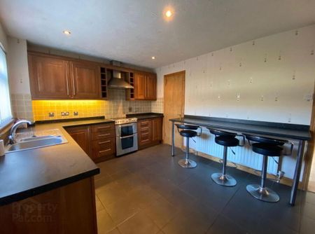 4 Edenvale Court, Lisburn, BT28 2RL - Photo 5