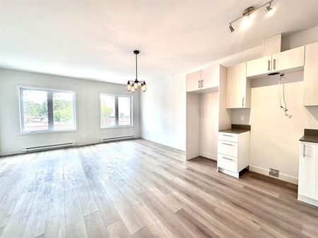 1835 Rue Bélanger - Photo 4