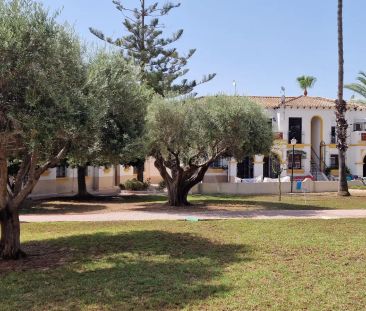 San Miguel De Salinas - Photo 5